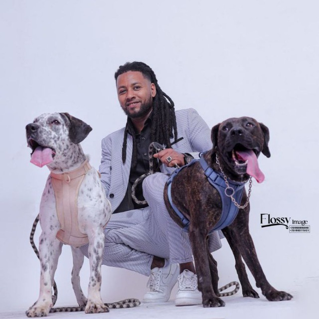 Kamuzu Pets - Find your perfect companion