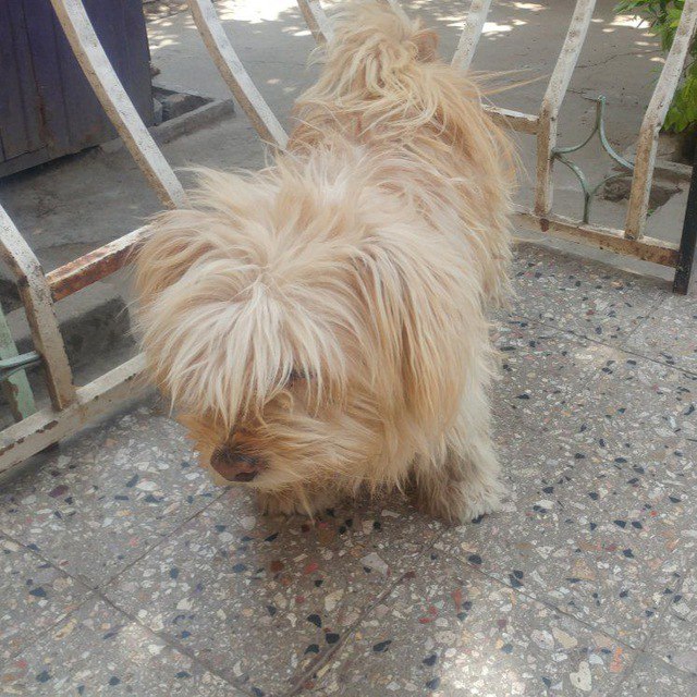 Mati